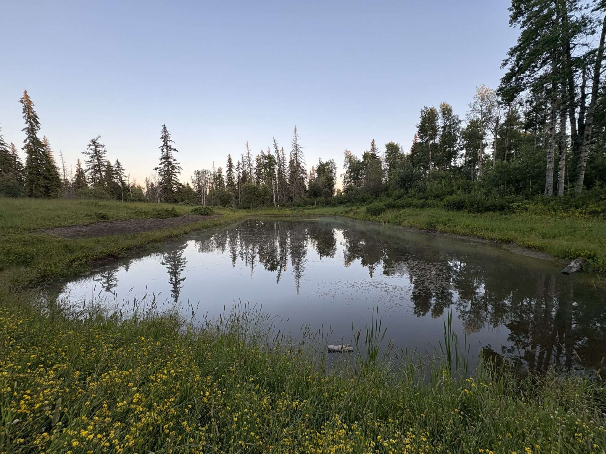 A quiet British Columbia landscape of the kind our partners help protect for bats.