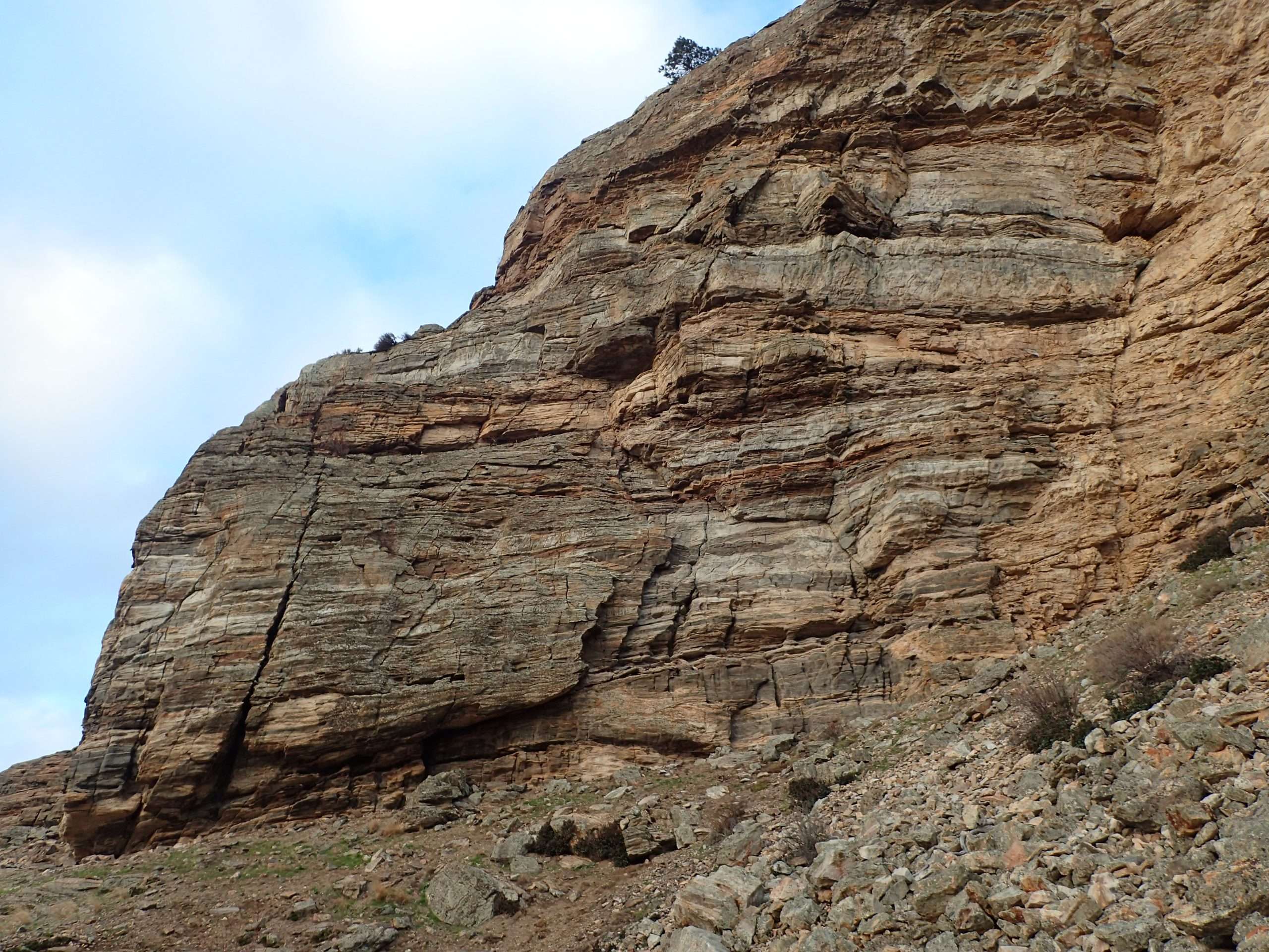 Cliff face at Vaseux Lake used as a bat roost.