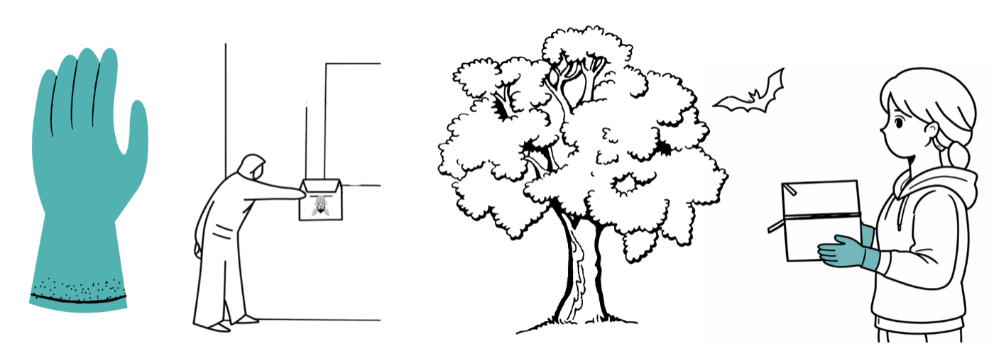 An illustrated activity guide laid open.