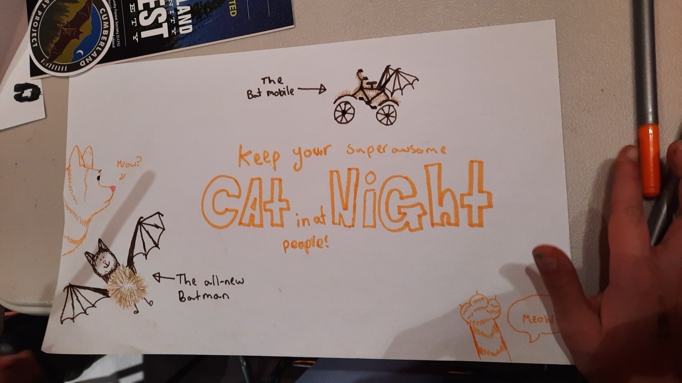 A hand-drawn kids&rsquo; poster reading &lsquo;Keep your superawesome cat in at night, people!&rsquo;