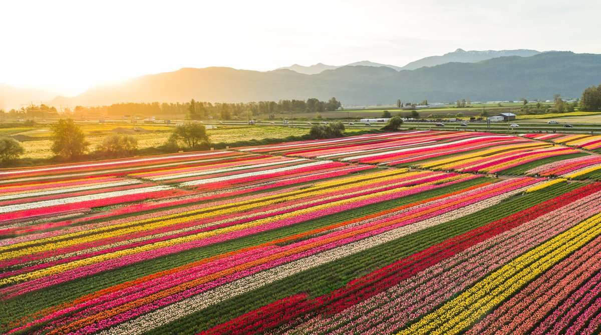 Fraser Valley landscape