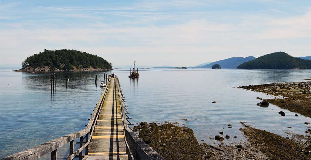 Mayne Island landscape