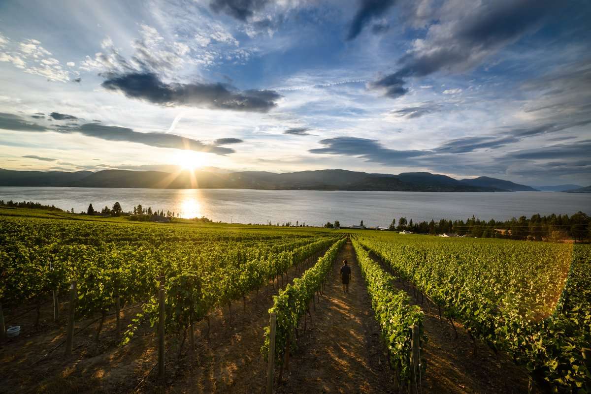 Okanagan landscape