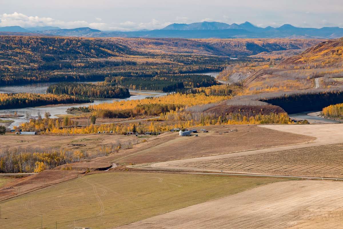 Peace landscape
