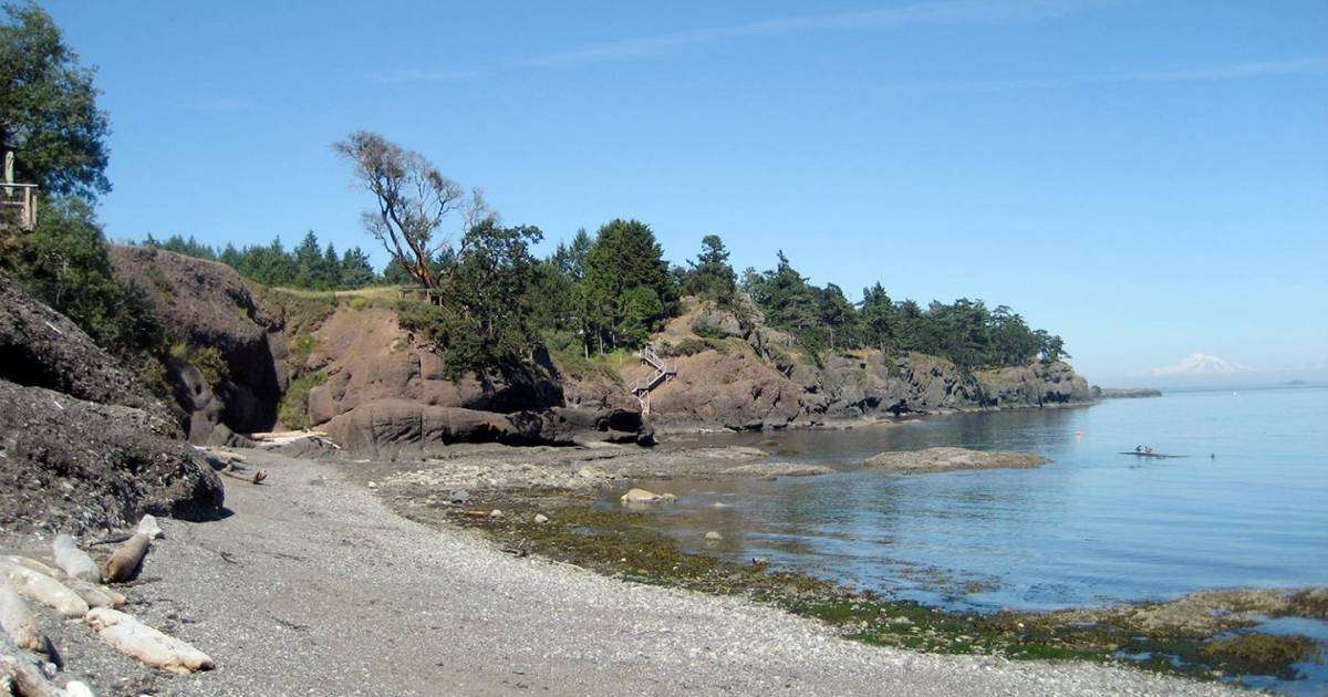 Pender Island landscape