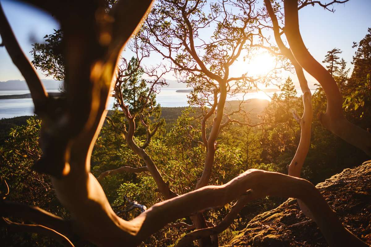 Sunshine Coast landscape
