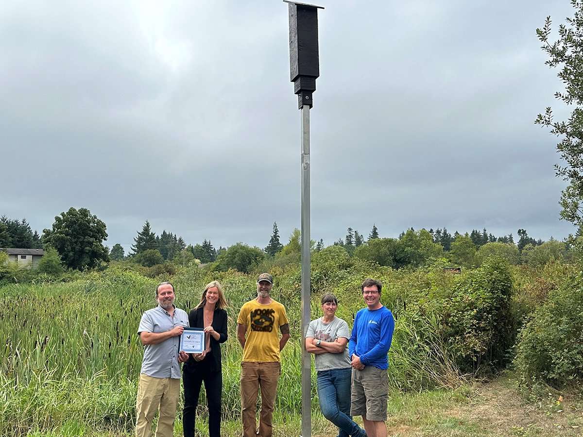Comox becomes Vancouver Island’s First Certified Bat Friendly Community