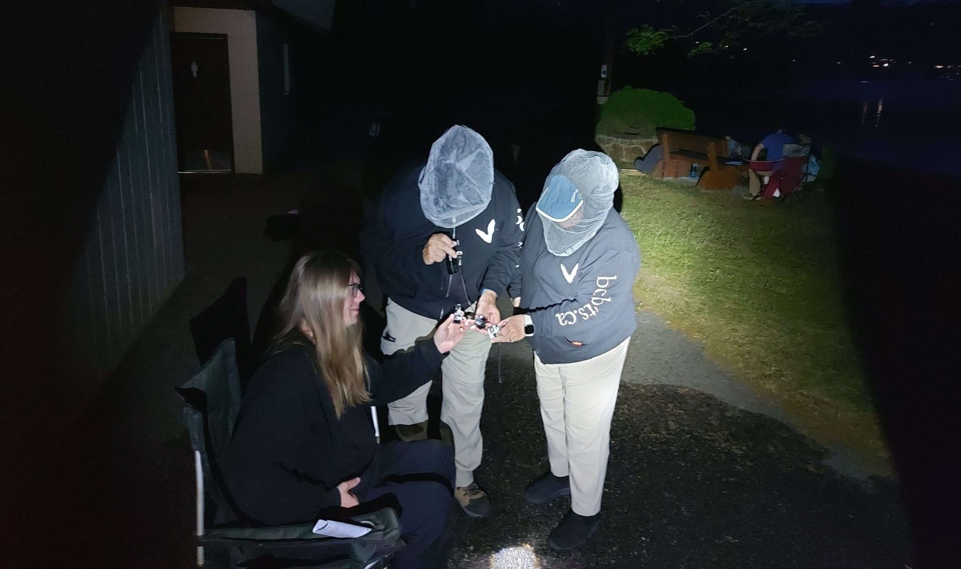 Our Bat Count Report is ready!