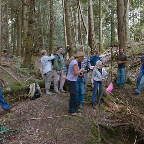 Surveillance for WNS in BC continues