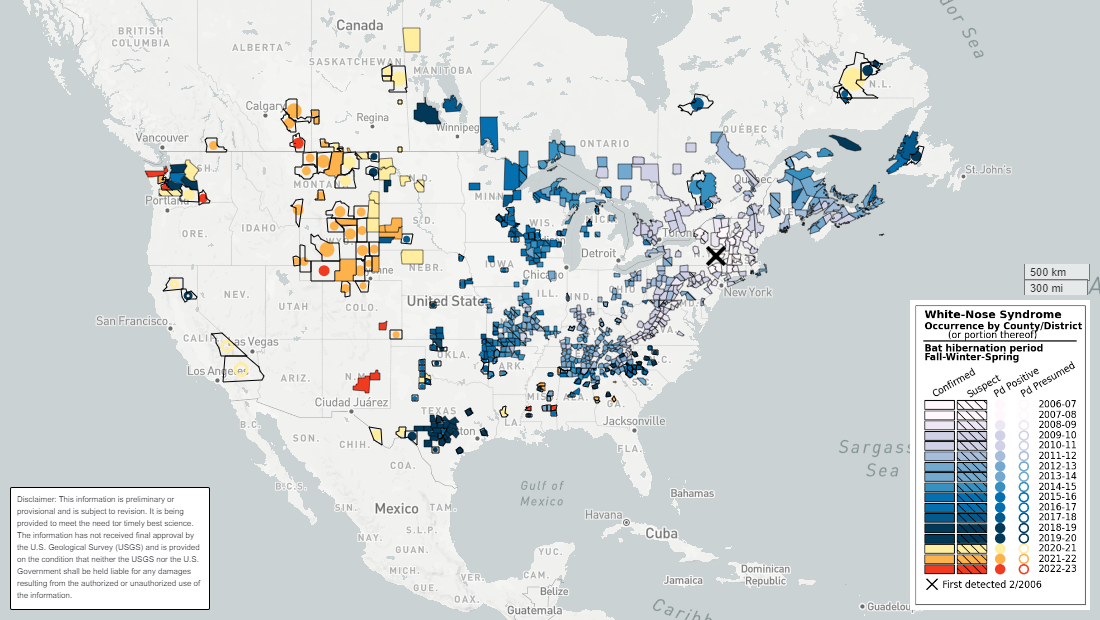 White-nose Syndrome Bat Monitoring – Please Report Dead Bats